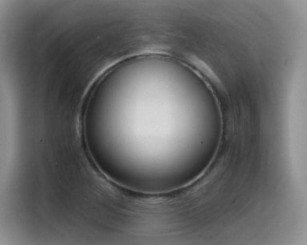 X0000114601268200910191611