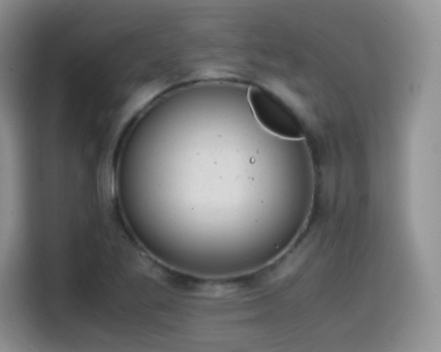 X0000114601269200910191611