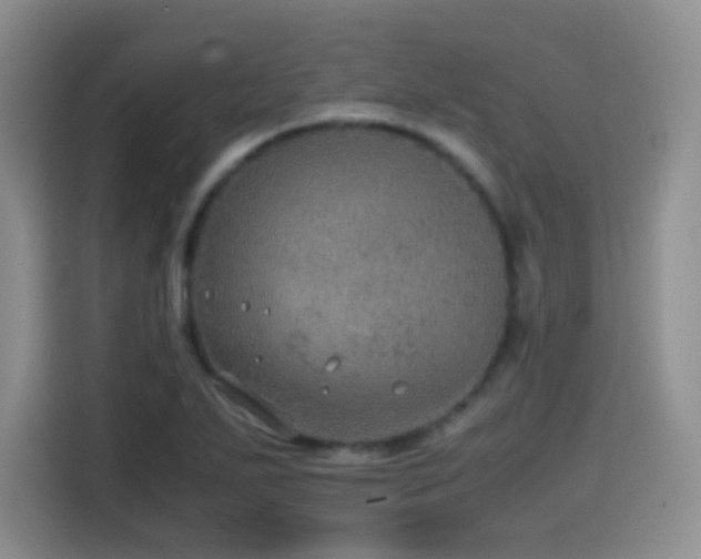 X0000114601271200910191611