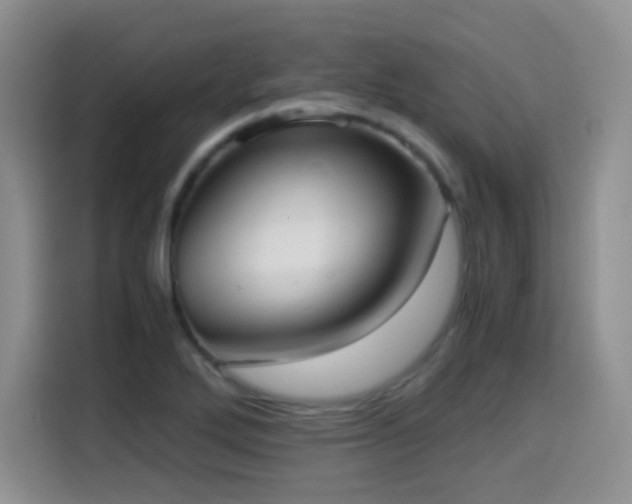 X0000114601272200910191611