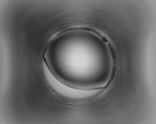 X0000114601273200910191611