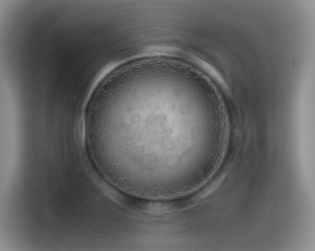 X0000114601275200910191611