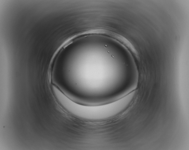 X0000114601276200910191611