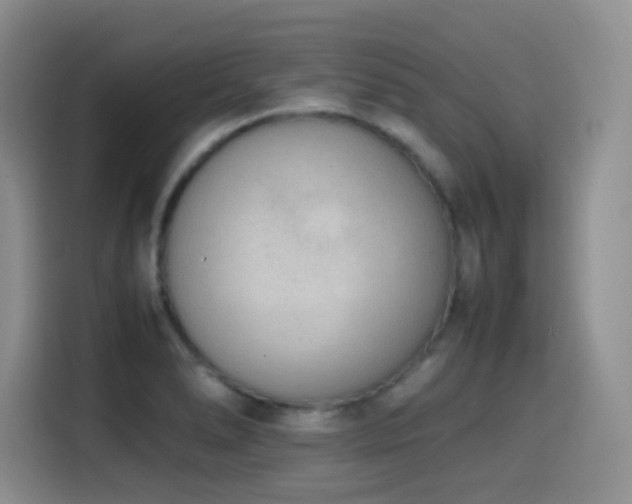 X0000114601278200910191611