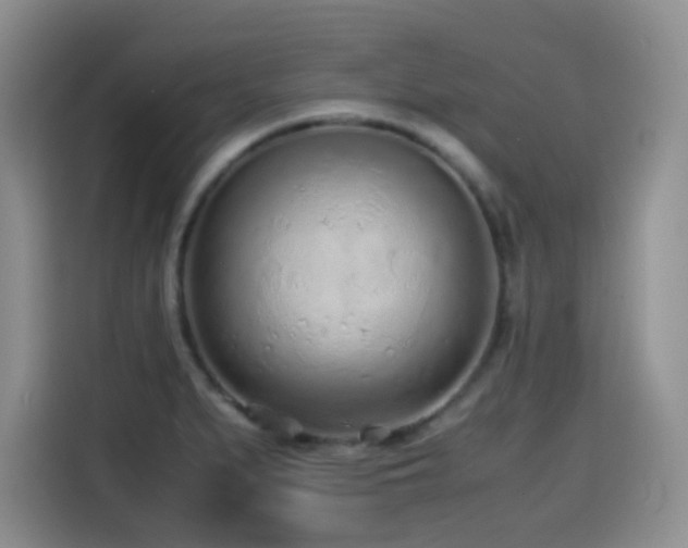 X0000114601279200910191611