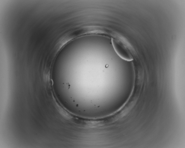 X0000114601281200910191611