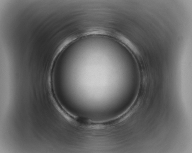 X0000114601282200910191611