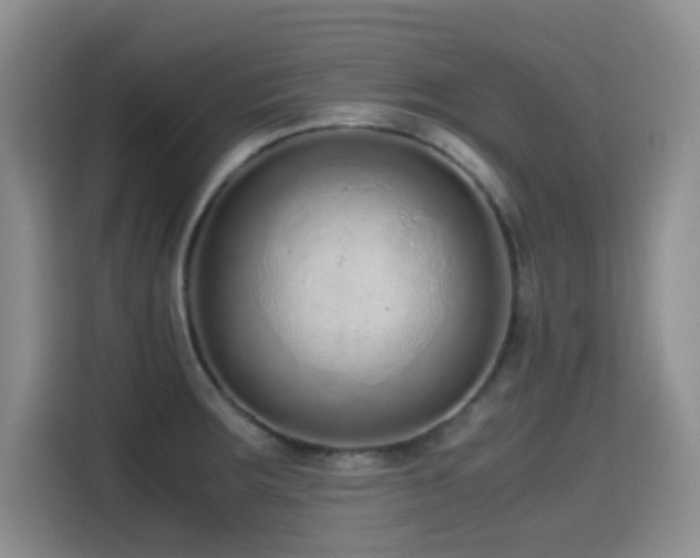 X0000114601283200910191611