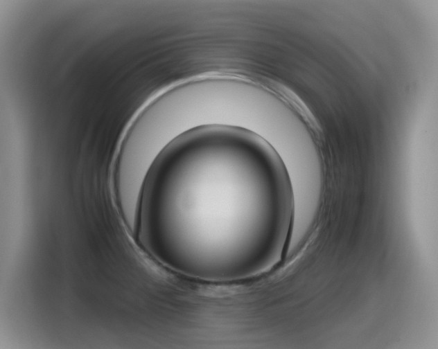 X0000114601284200910191611