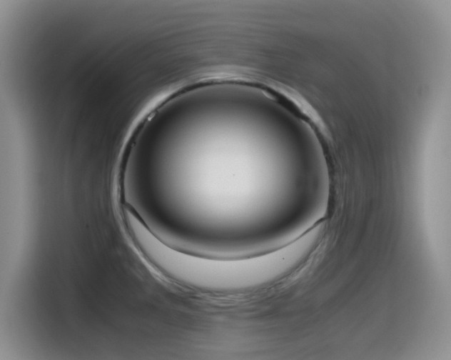 X0000114601285200910191611