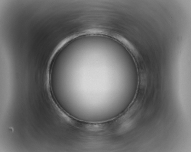 X0000114601286200910191610