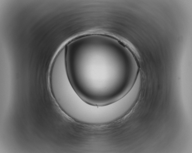 X0000114601288200910191610