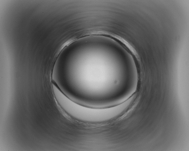 X0000114601289200910191610