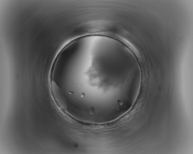 X0000114601291200910191610