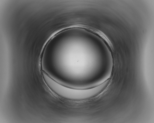 X0000114601292200910191610