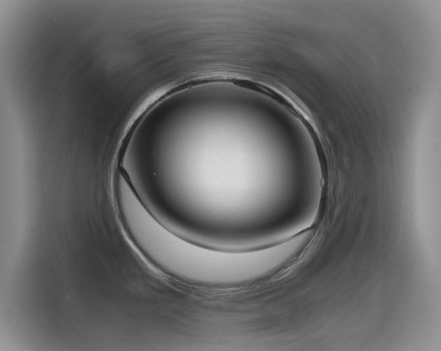 X0000114601293200910191610