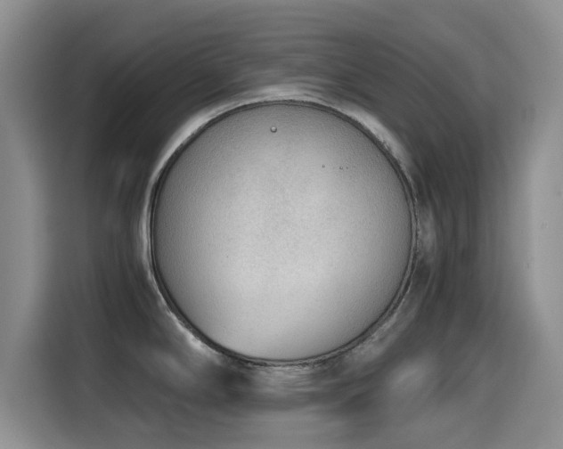 X0000114601294200910191610