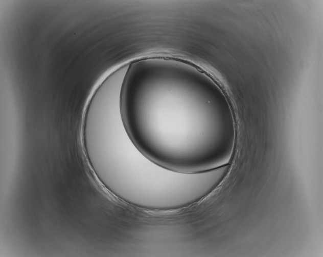 X0000114601296200910191610