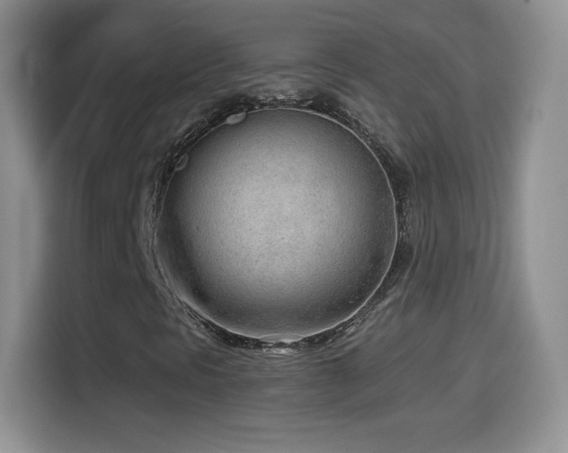 X0000114601297200910191610