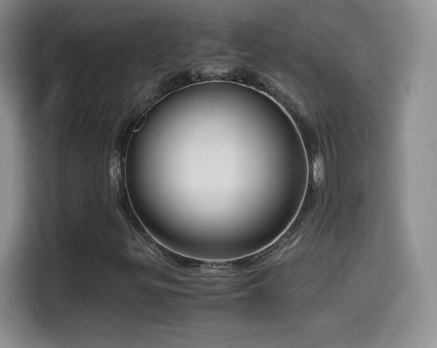 X0000114601299200910191610