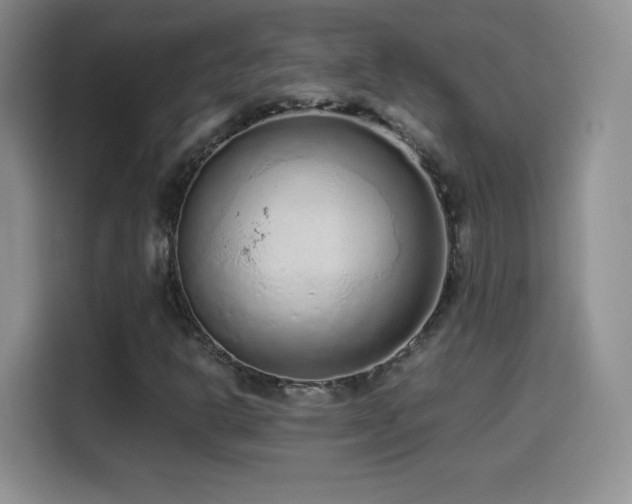 X0000114601302200910191610