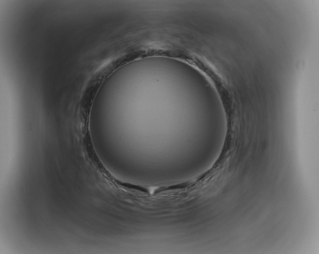 X0000114601303200910191610