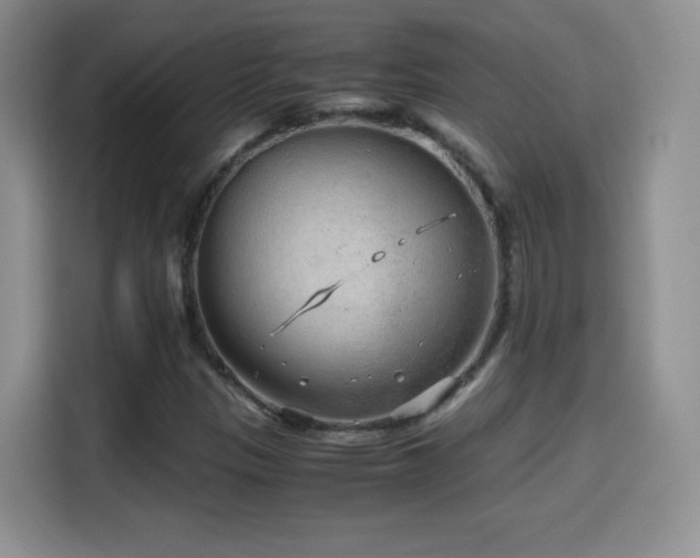 X0000114601305200910191610