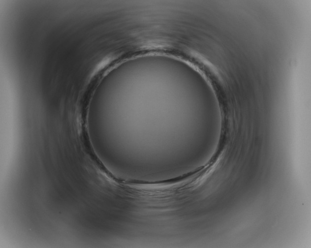 X0000114601306200910191610