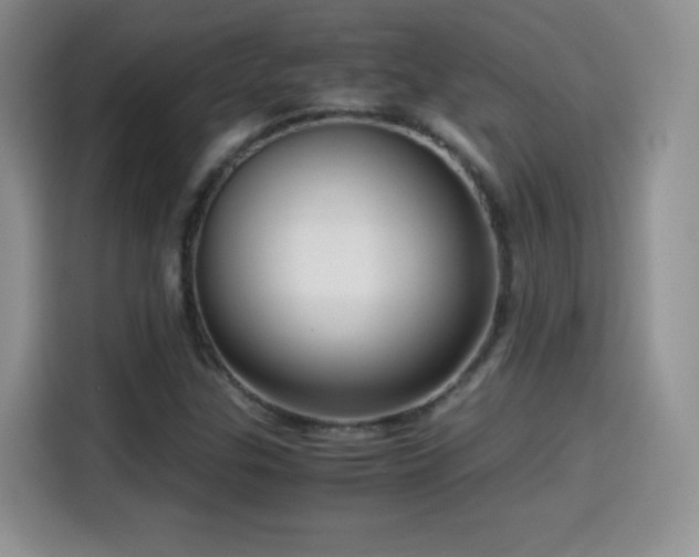 X0000114601307200910191610