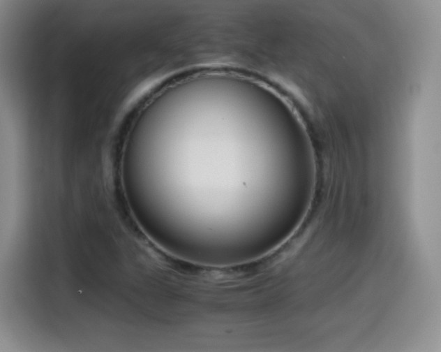 X0000114601311200910191610