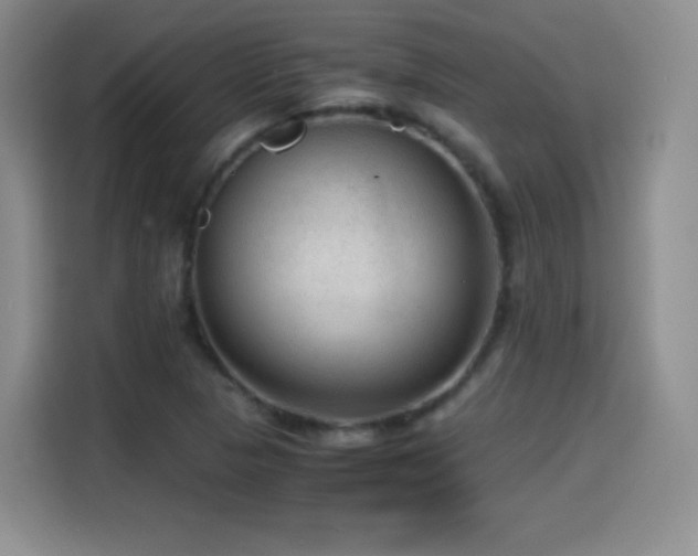 X0000114601313200910191610