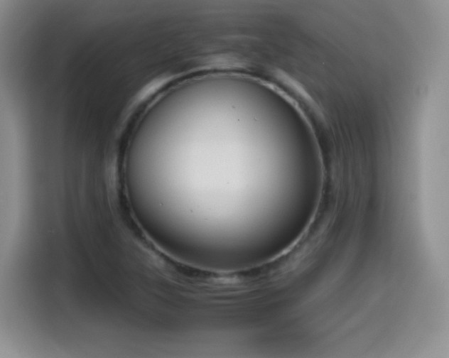 X0000114601315200910191610