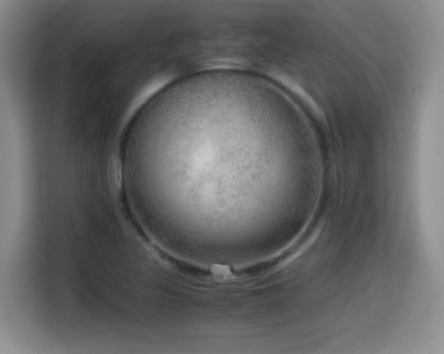 X0000114601317200910191610