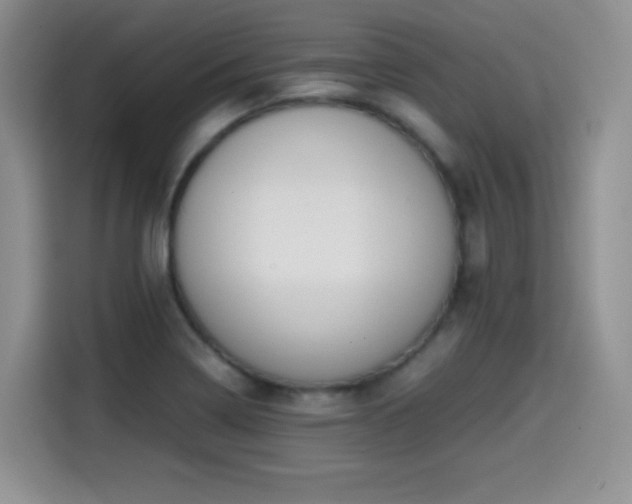 X0000114601322200910191610