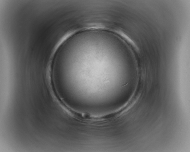 X0000114601325200910191610