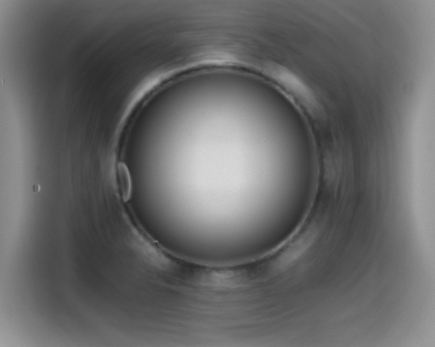 X0000114601326200910191610