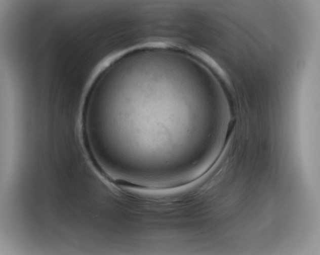 X0000114601327200910191610