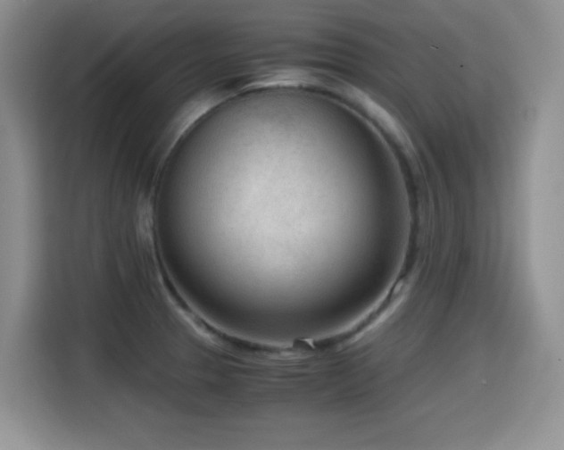 X0000114601329200910191610