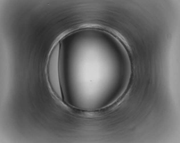 X0000114601330200910191610