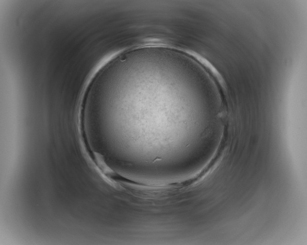 X0000114601333200910191610