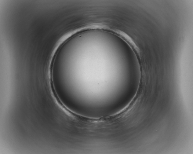 X0000114601335200910191610