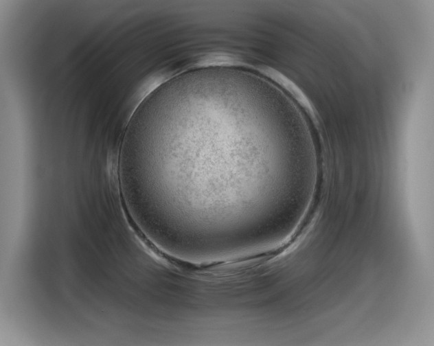 X0000114601337200910191610