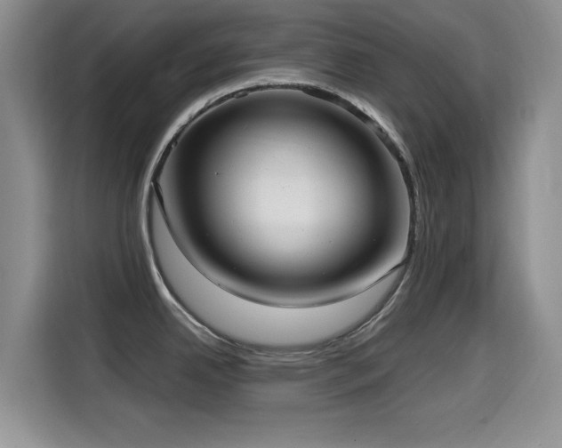 X0000114601342200910191610