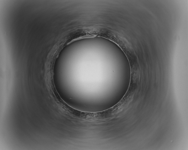 X0000114601345200910191610