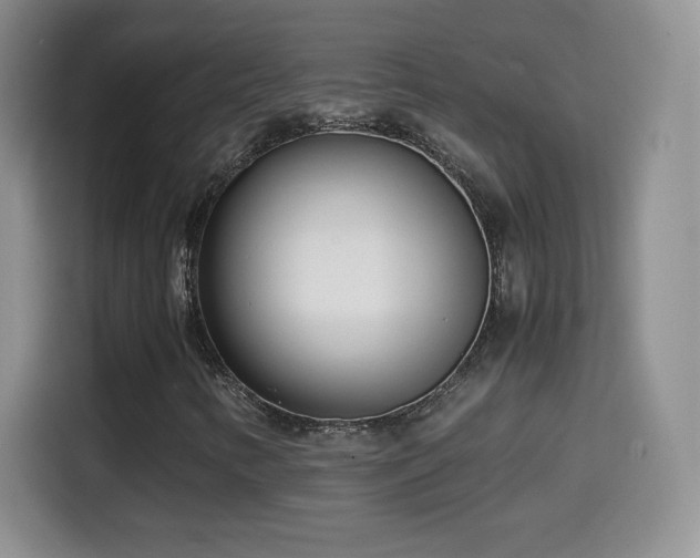 X0000114601346200910191610