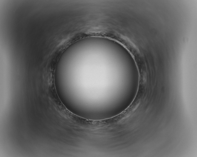 X0000114601350200910191610