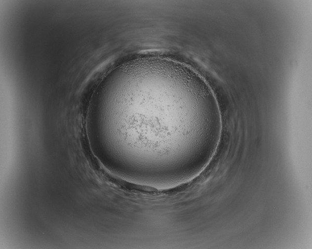 X0000114601351200910191610