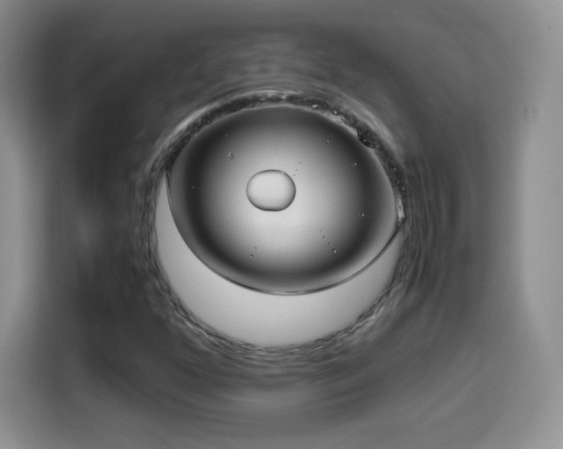 X0000114601352200910191610