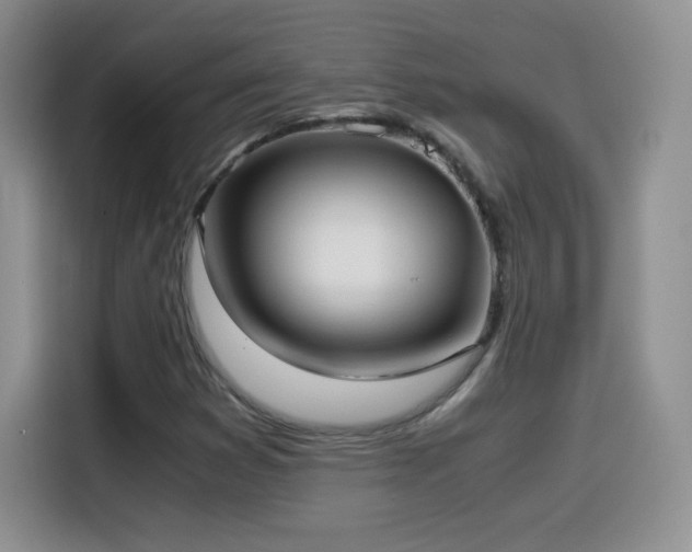 X0000114601353200910191610