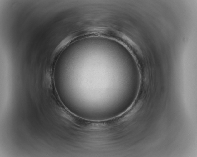 X0000114601354200910191610